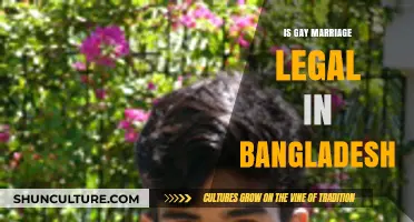 Is Gay Marriage Legal in Bangladesh? Exploring Current Laws and Rights
