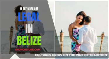 Gay Marriage in Belize: Navigating Legal Recognition