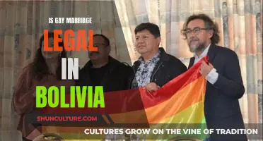 Gay Marriage in Bolivia: Is It Legal?