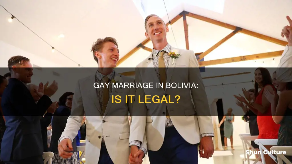 is gay marriage legal in bolivia