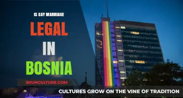 Is Gay Marriage Legal in Bosnia? Exploring Current Laws and Rights