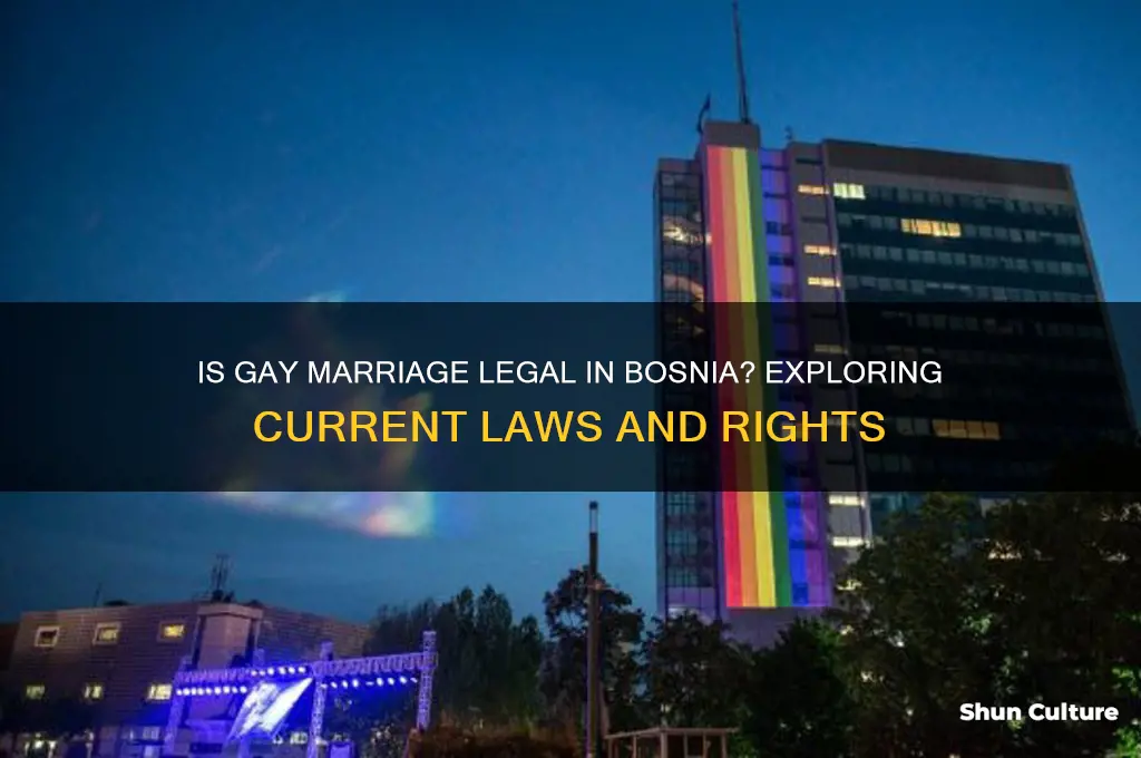 is gay marriage legal in bosnia