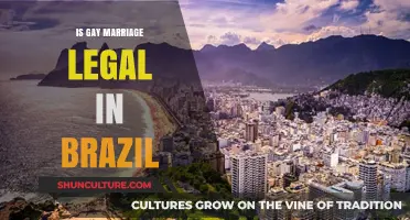 Is Gay Marriage Legal in Brazil? Understanding the Current Laws