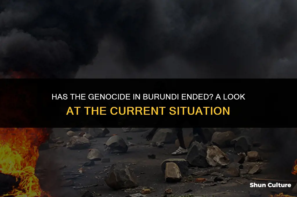 is genocide in burundi over