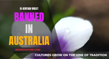 Gentian Violet: Australia's Ban on the Purple Stain