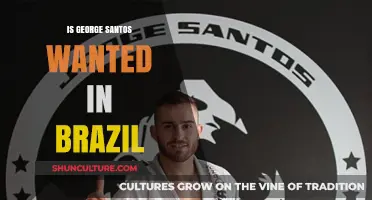 Is George Santos Wanted in Brazil? Unraveling the Allegations and Facts
