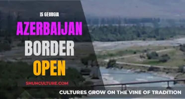 Exploring the Dynamic Georgia-Azerbaijan Border: Open or Closed?