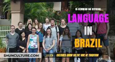 Is German an Official Language in Brazil? Unraveling the Linguistic Landscape