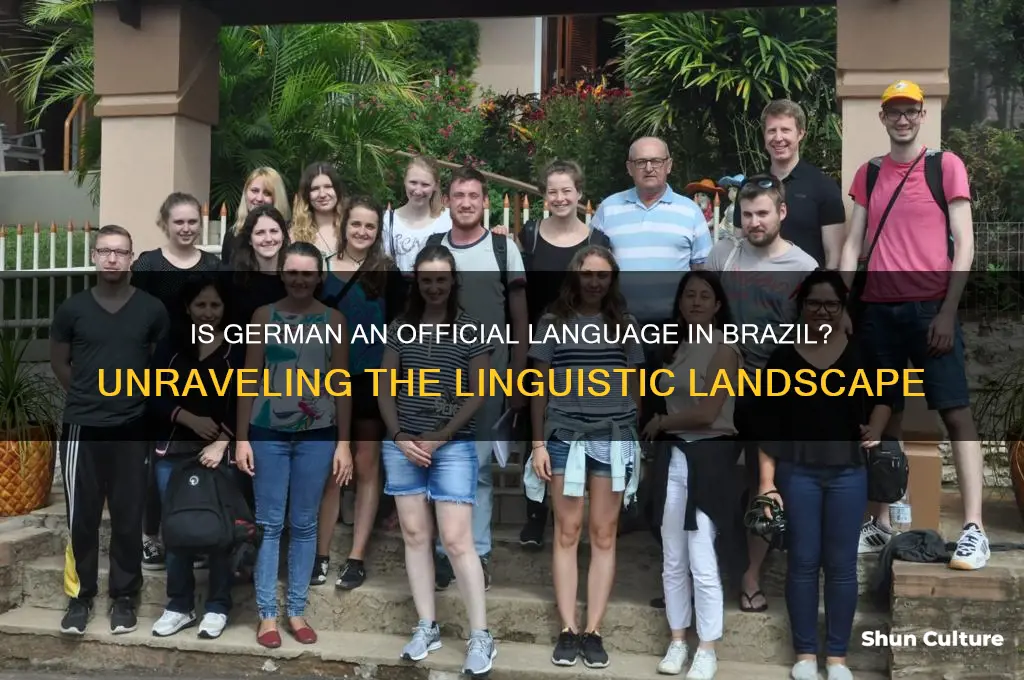 is german an official language in brazil