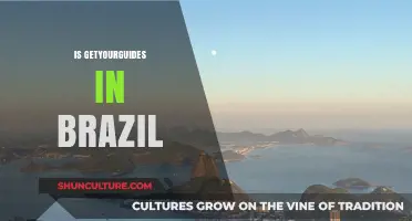 Exploring Brazil: Is GetYourGuide Available for Your Travel Adventures?