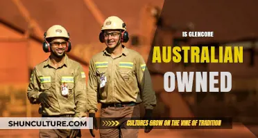 Who Owns Glencore? Exploring the Ownership of the Global Giant