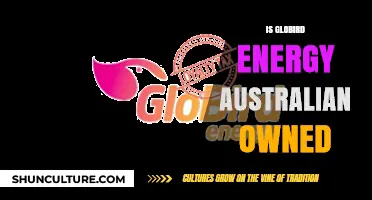Who Owns Globird Energy?