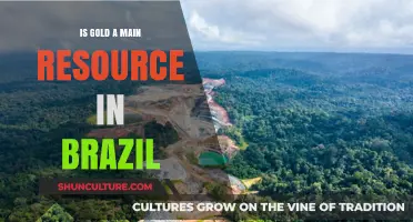 Is Gold a Main Resource in Brazil? Exploring Its Economic Impact
