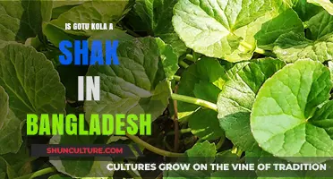 Gotu Kola in Bangladesh: Exploring Its Role as a Shak