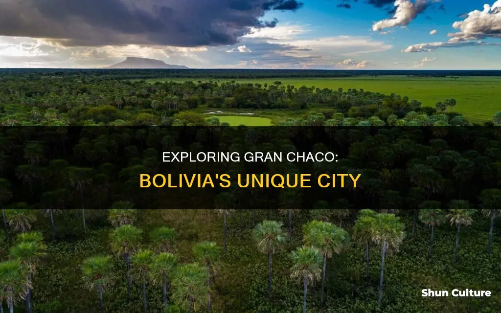 is gran chaco a city of bolivia