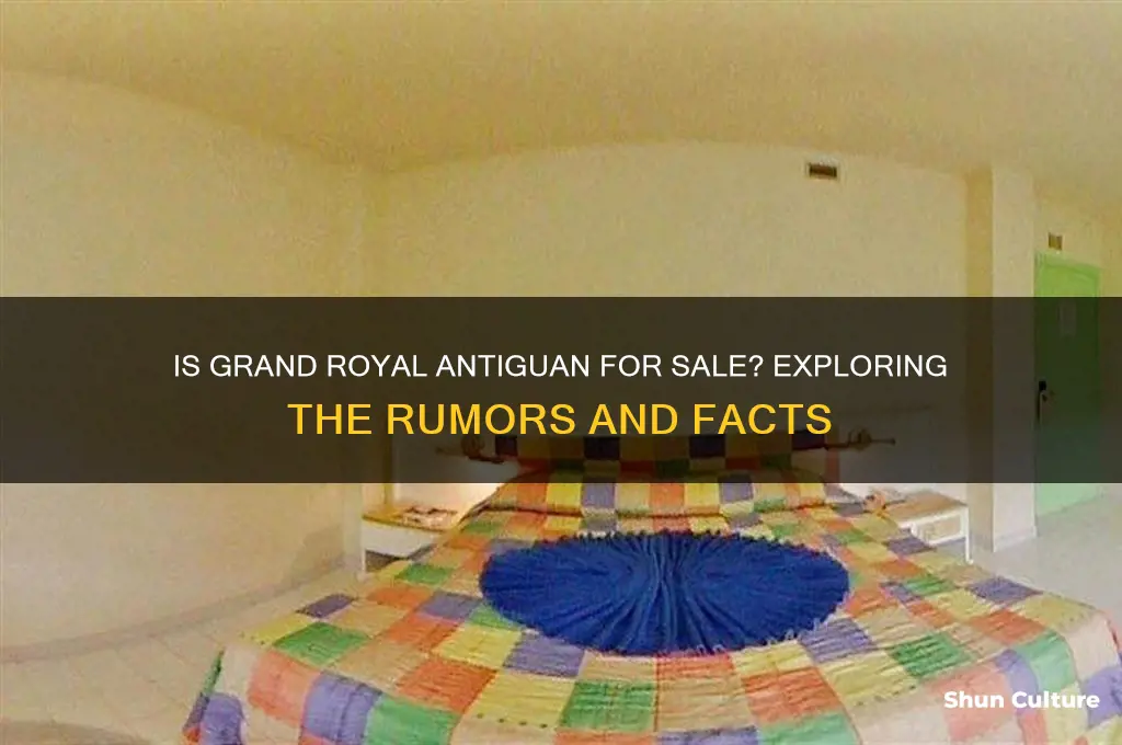 is grand royal antiguan for sale