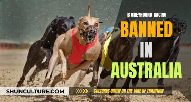 Greyhound Racing: Australia's Ban and the Future