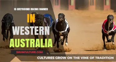 Greyhound Racing: Banned or Not in Western Australia?