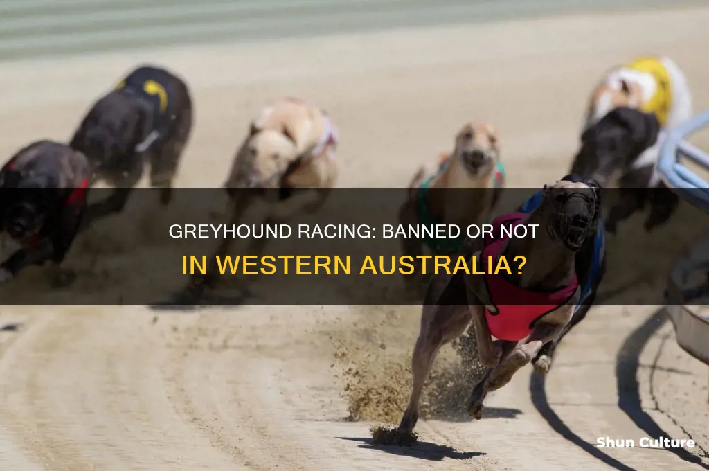 is greyhound racing banned in western australia