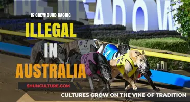 Greyhound Racing: Australia's Legal Battle