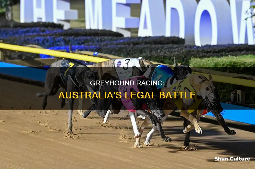 is greyhound racing illegal in australia