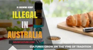 Hemp Cultivation in Australia: Legal or Not?