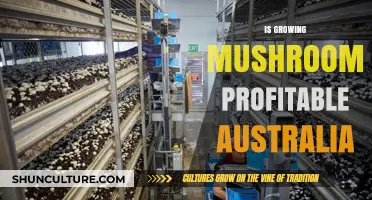 Mushroom Farming in Australia: A Profitable Venture?