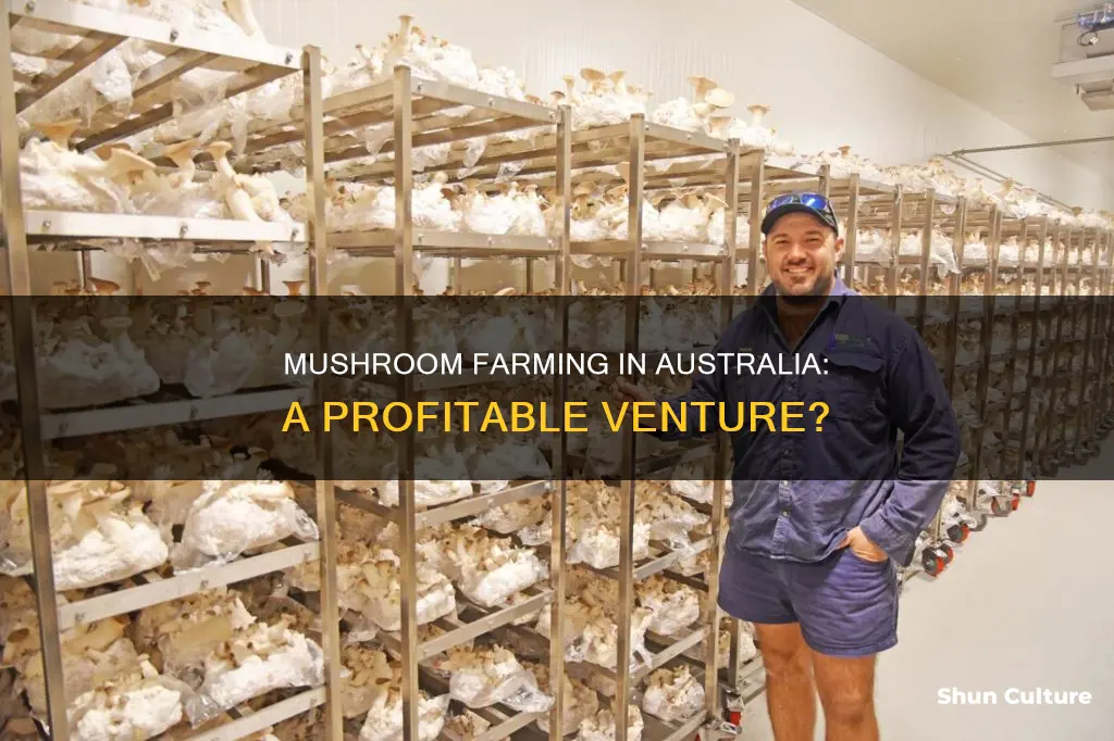 is growing mushrooms profitable australia