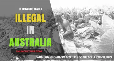 Tobacco Cultivation: Australia's Legal Landscape Explored