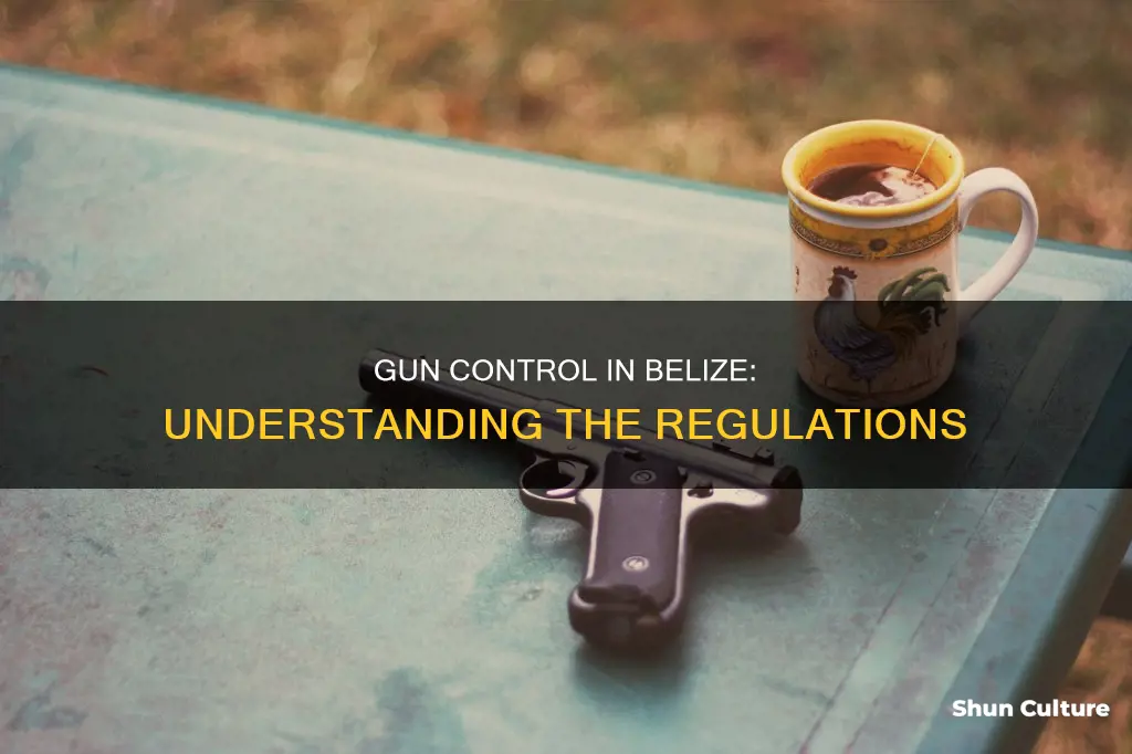 is gun ownership allowed in belize