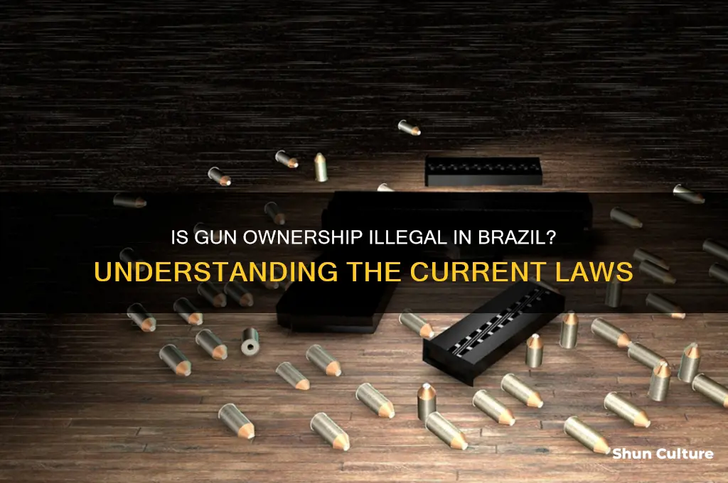is gun ownership illegal in brazil