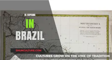 Is Guyana in Brazil? Unraveling the Geographic Misconception