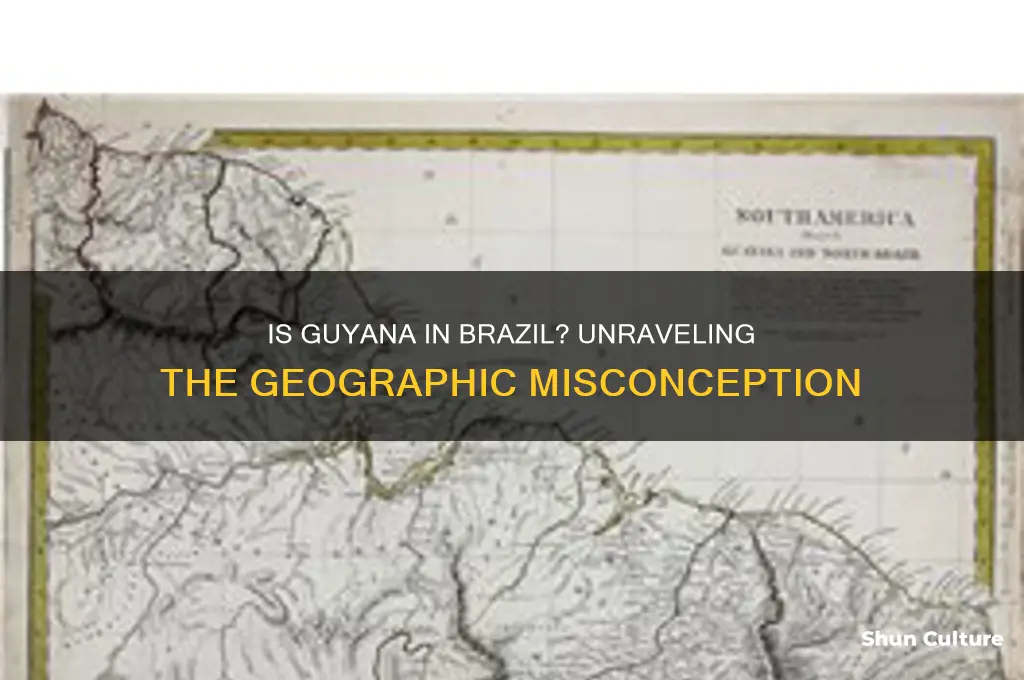 is guyana in brazil