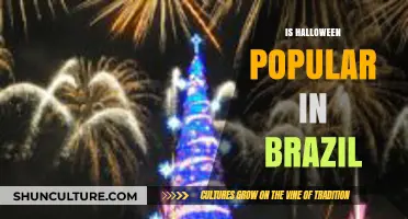 Halloween in Brazil: A Growing Trend or Cultural Import?