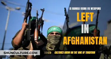 Hamas' Arsenal: The Trail of US Weapons from Afghanistan