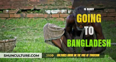 Harry's Bangladesh Visit: Rumors, Speculations, and What We Know So Far