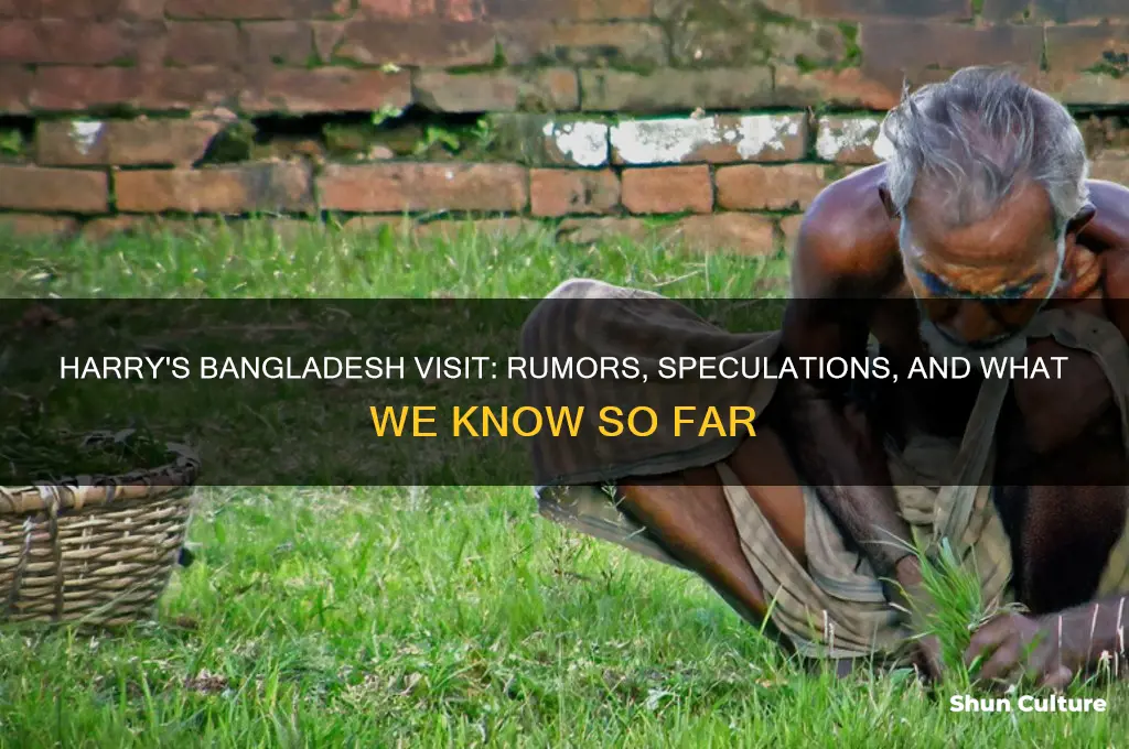 is harry going to bangladesh