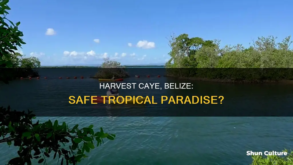 is harvest caye belize safe