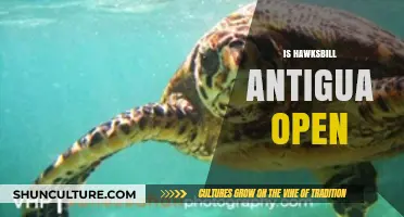 Is Hawksbill Antigua Open? Current Status and Visitor Information
