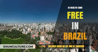 Is Health Care Free in Brazil? Exploring the SUS System