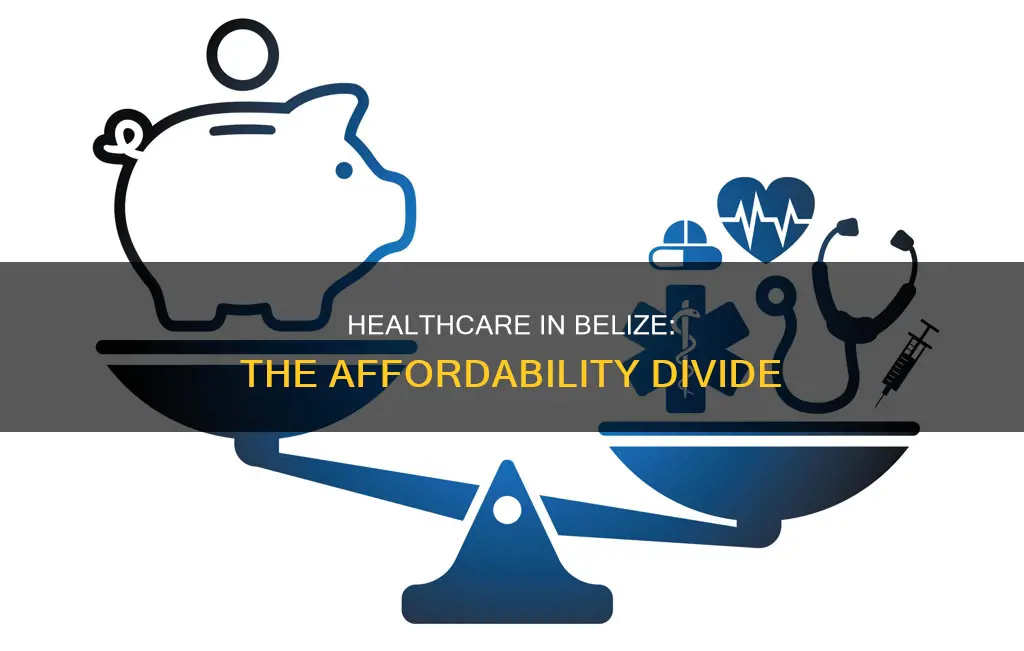 is healthcare affordable to everyone in belize