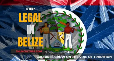 Hemp's Legal Haze in Belize: Unraveling the Complexities