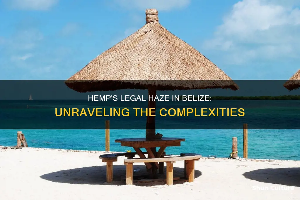 is hemp legal in belize