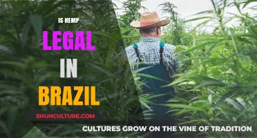 Is Hemp Legal in Brazil? Understanding Current Laws and Regulations