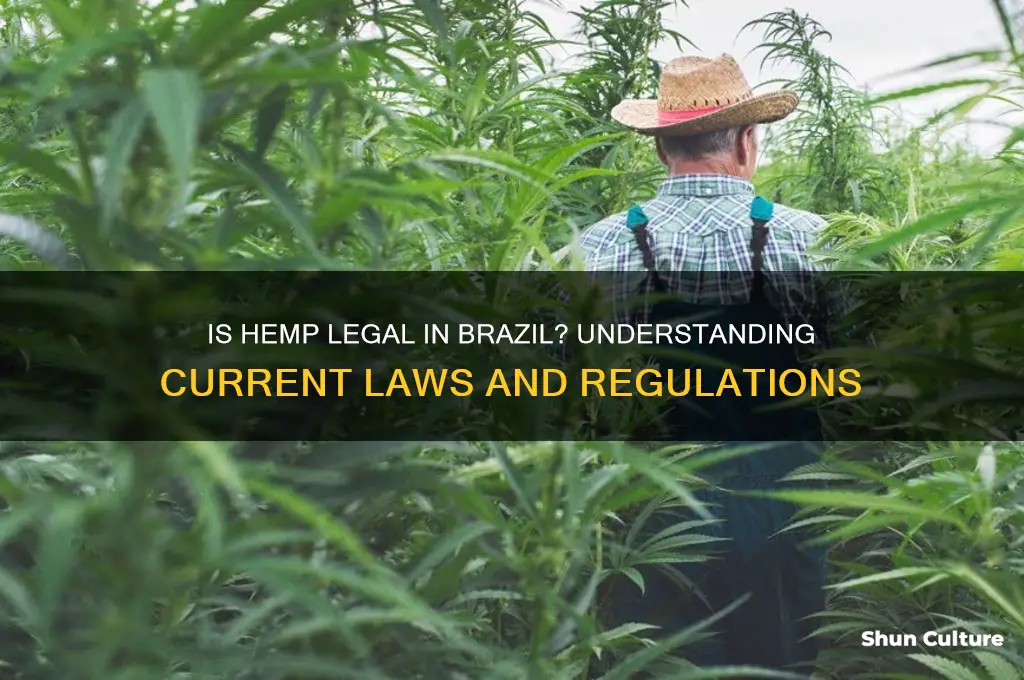 is hemp legal in brazil