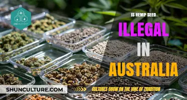 Hemp Seeds: Australia's Legal Status Explained