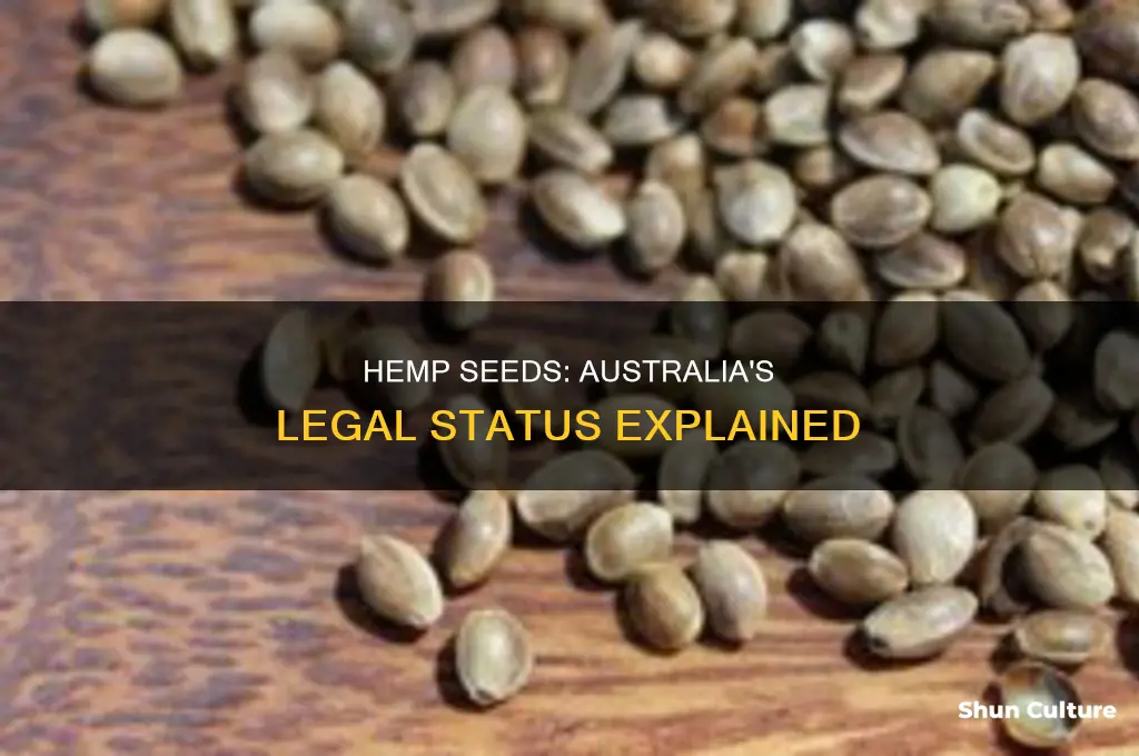 is hemp seed illegal in australia