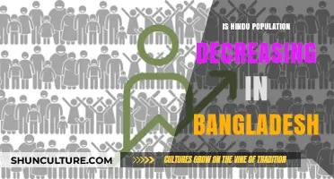 Declining Hindu Population in Bangladesh: Causes, Trends, and Implications