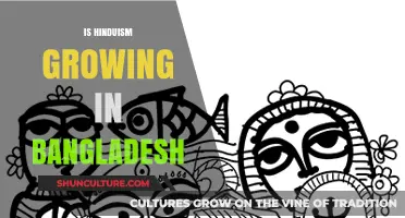 Hinduism in Bangladesh: Trends, Challenges, and Growth Dynamics Explored