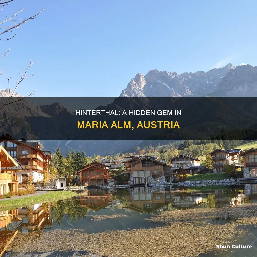 is hinterthal in maria alm austria